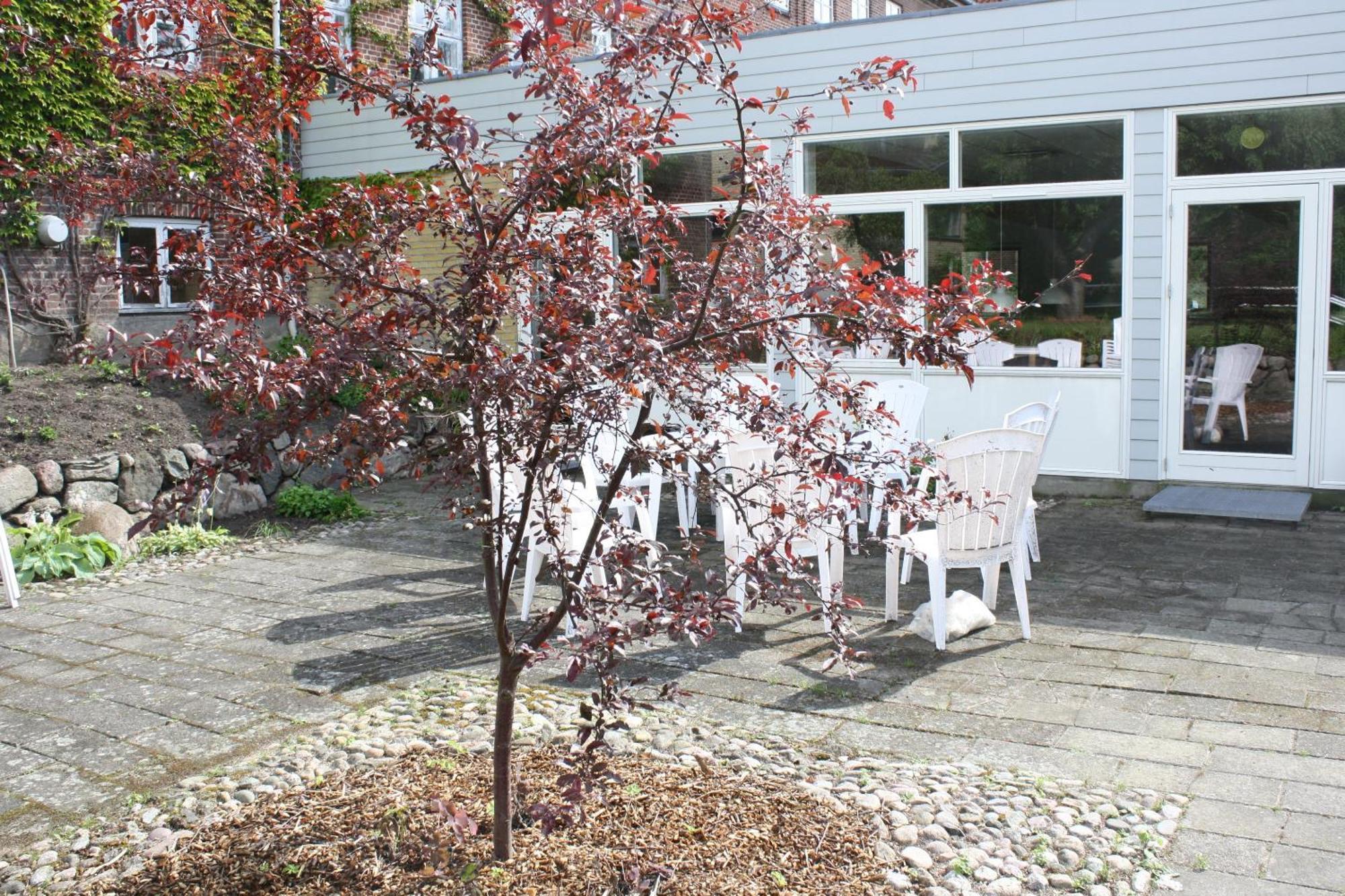 Emmaus Hostel Haslev Dış mekan fotoğraf